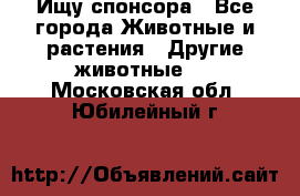 Ищу спонсора - Все города Животные и растения » Другие животные   . Московская обл.,Юбилейный г.